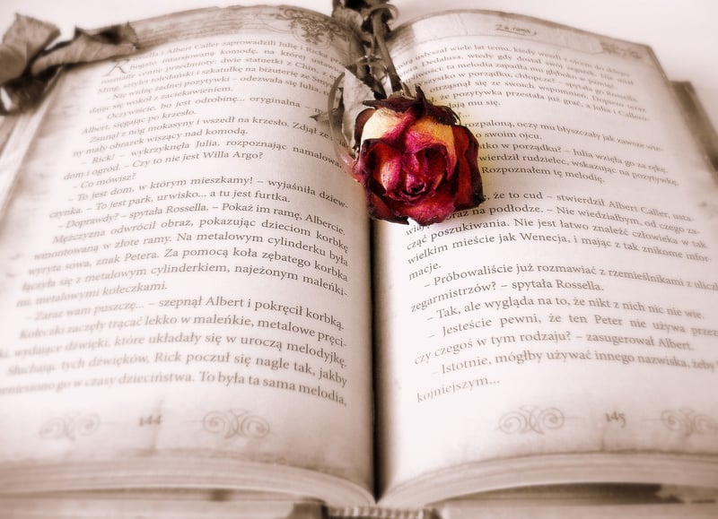 Upcycled Book Art